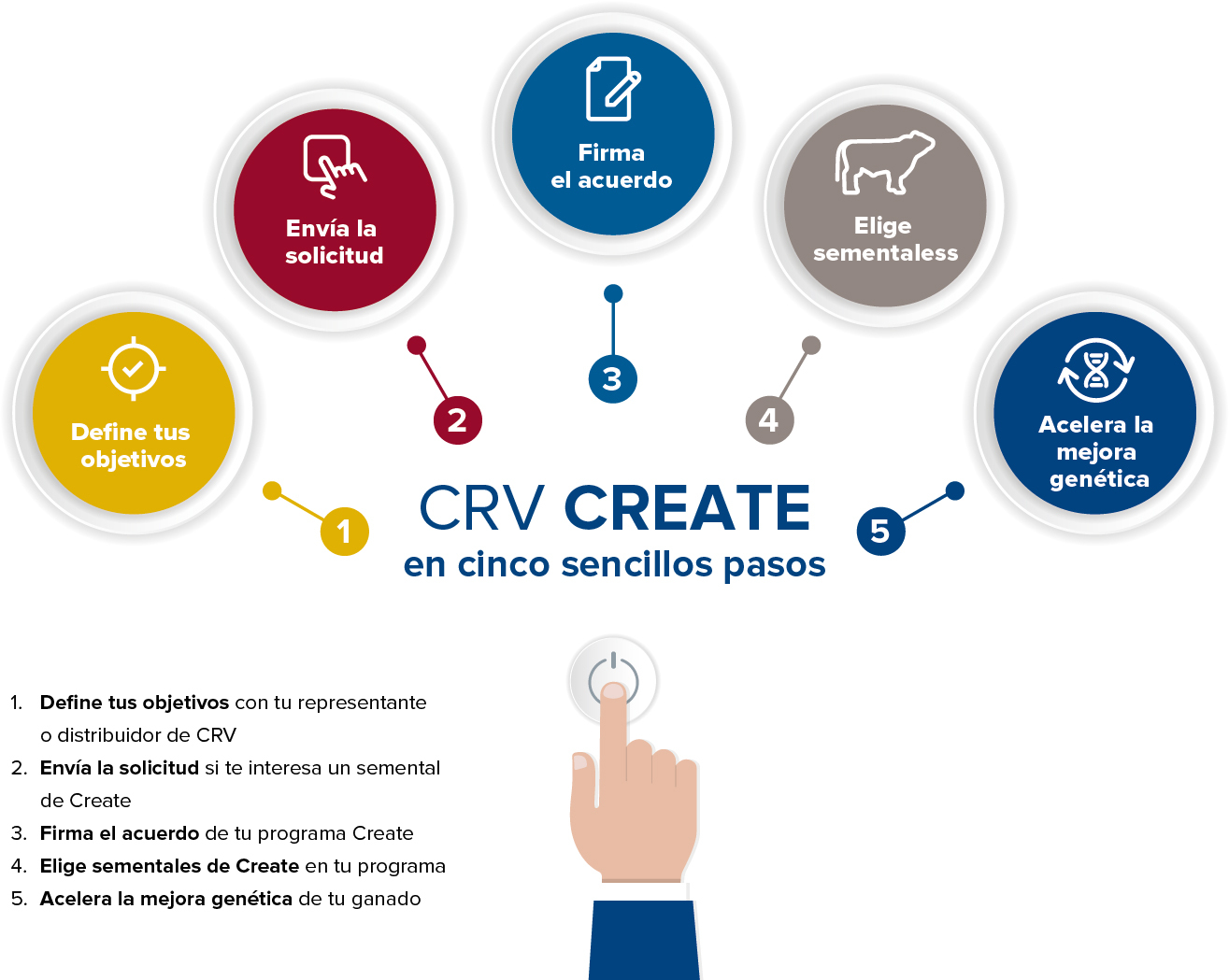 CRV CREATE ESPANA