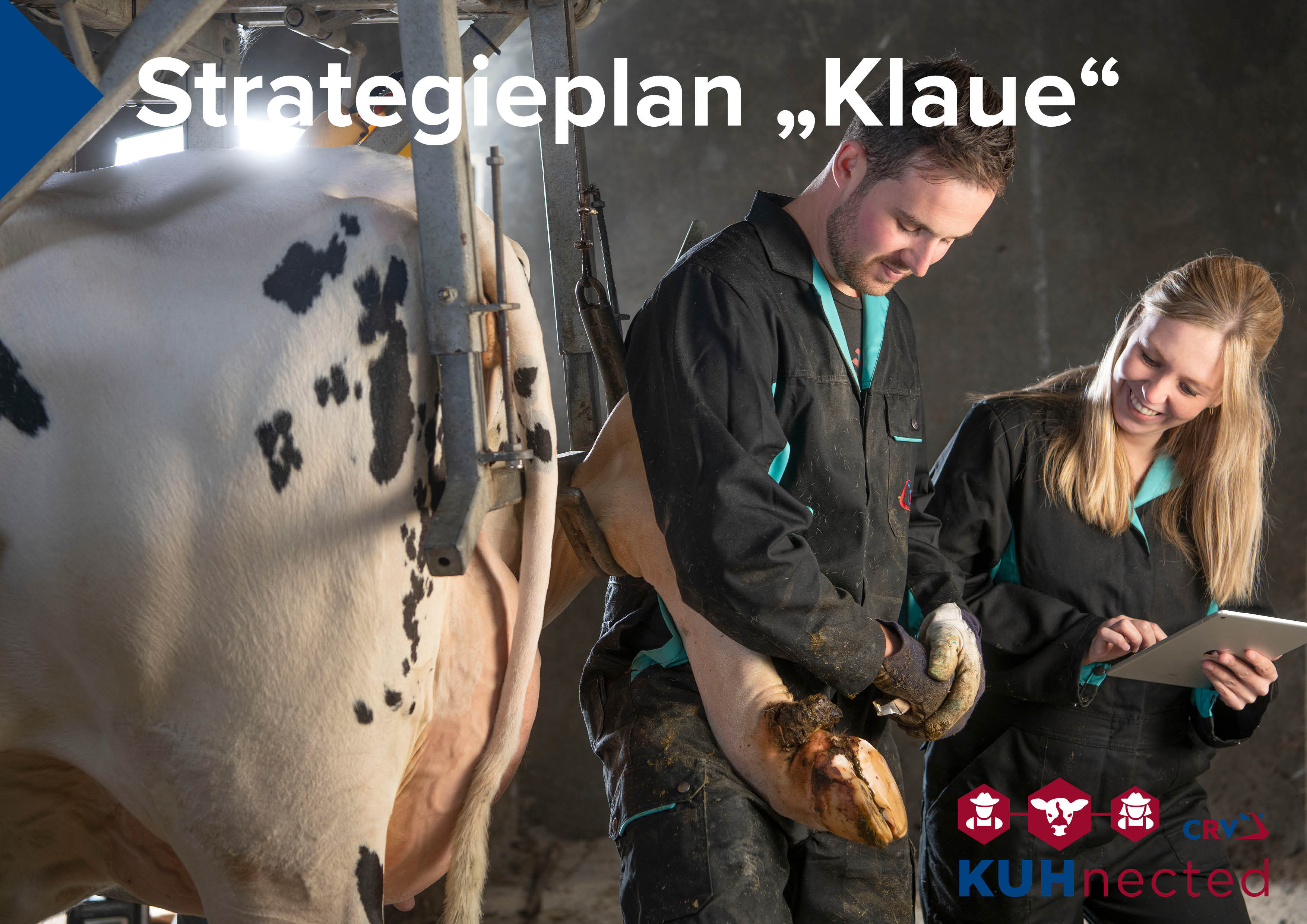 KUHnected - Strategieplan "Klaue"