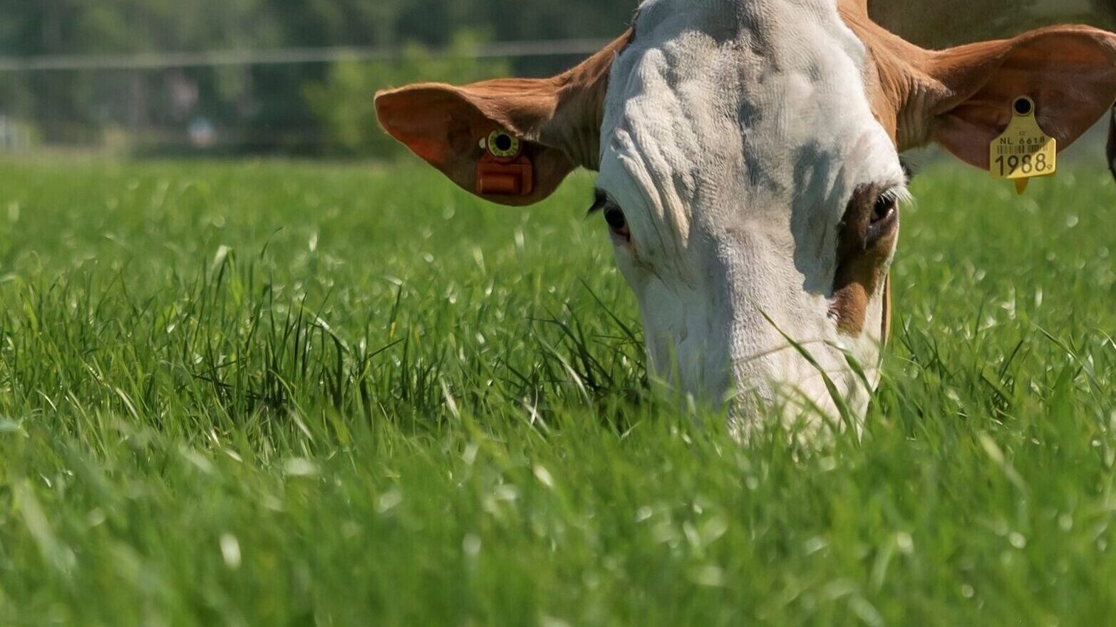 Mehr über Effizienz und Gesundheit erfahren