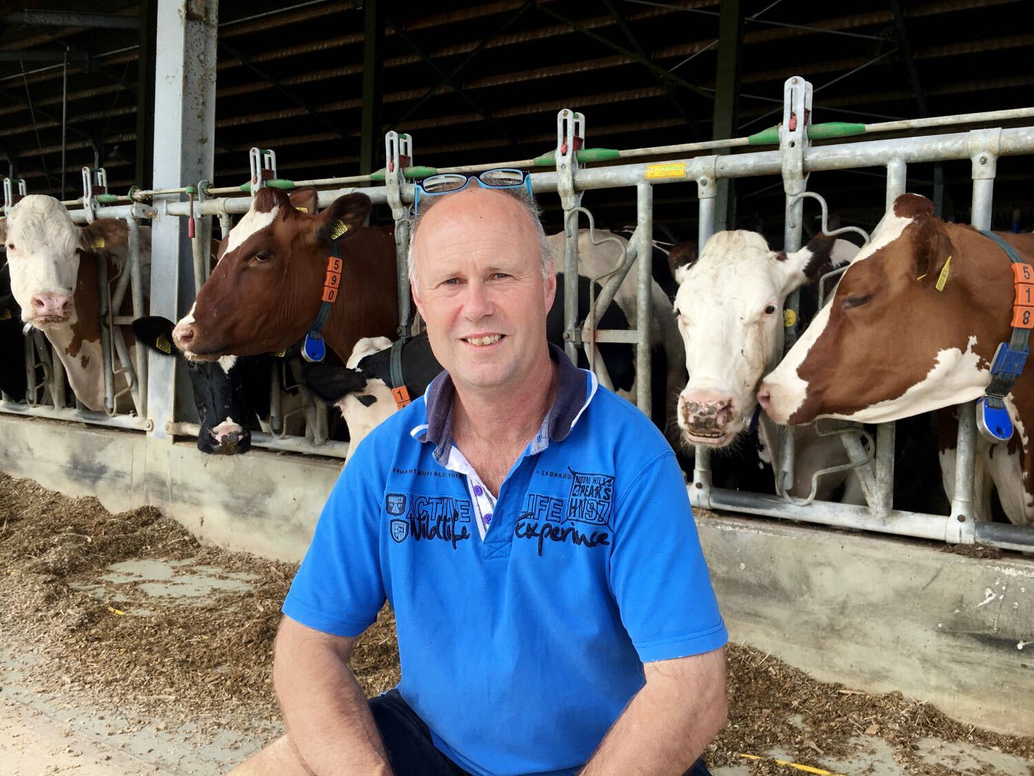 Han Krol, dairy farmer in Hengstdijk, the Netherlands, about CrossFit