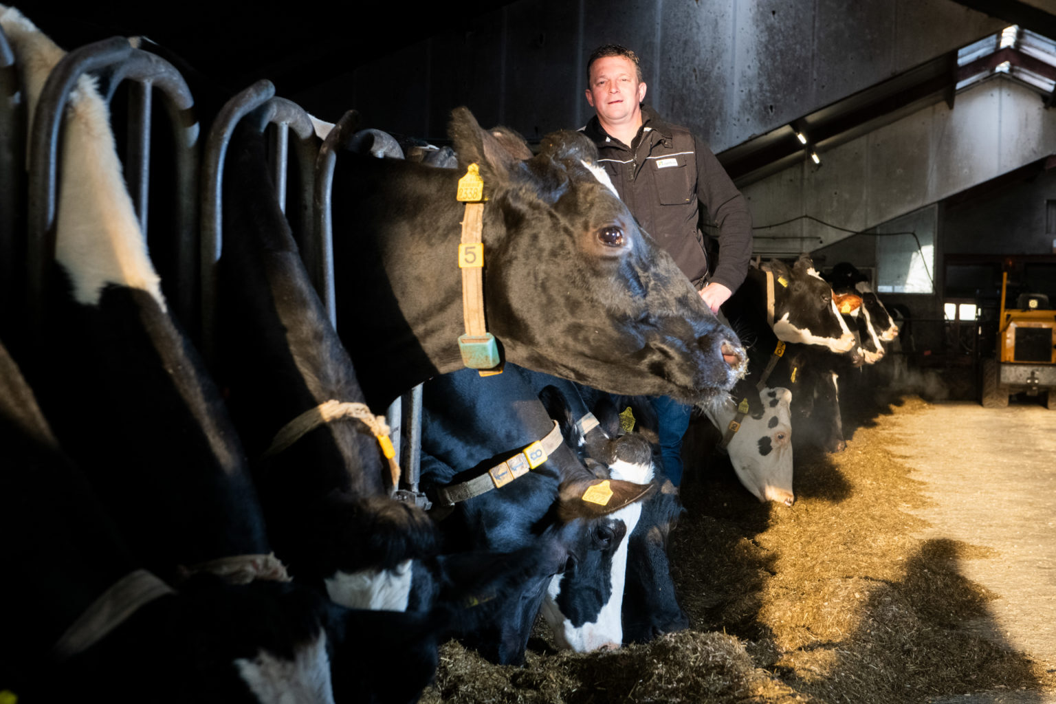 Veehouder Jan de Groot uit Kamperveen over SAP