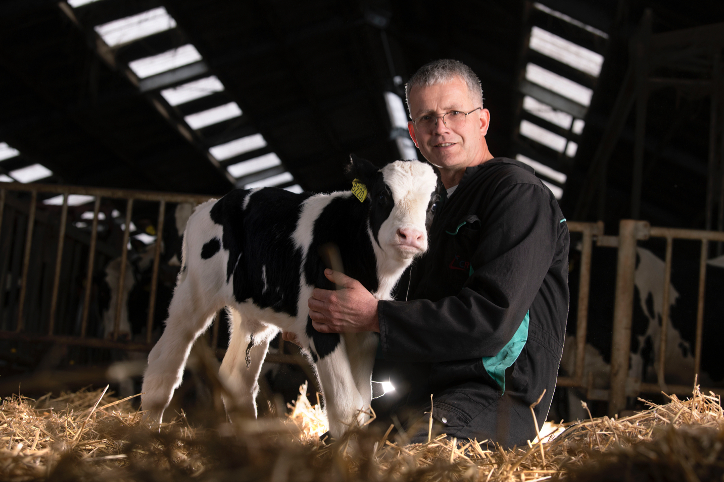 Kees Simons, dairy farmer in Steenbergen, the Netherlands