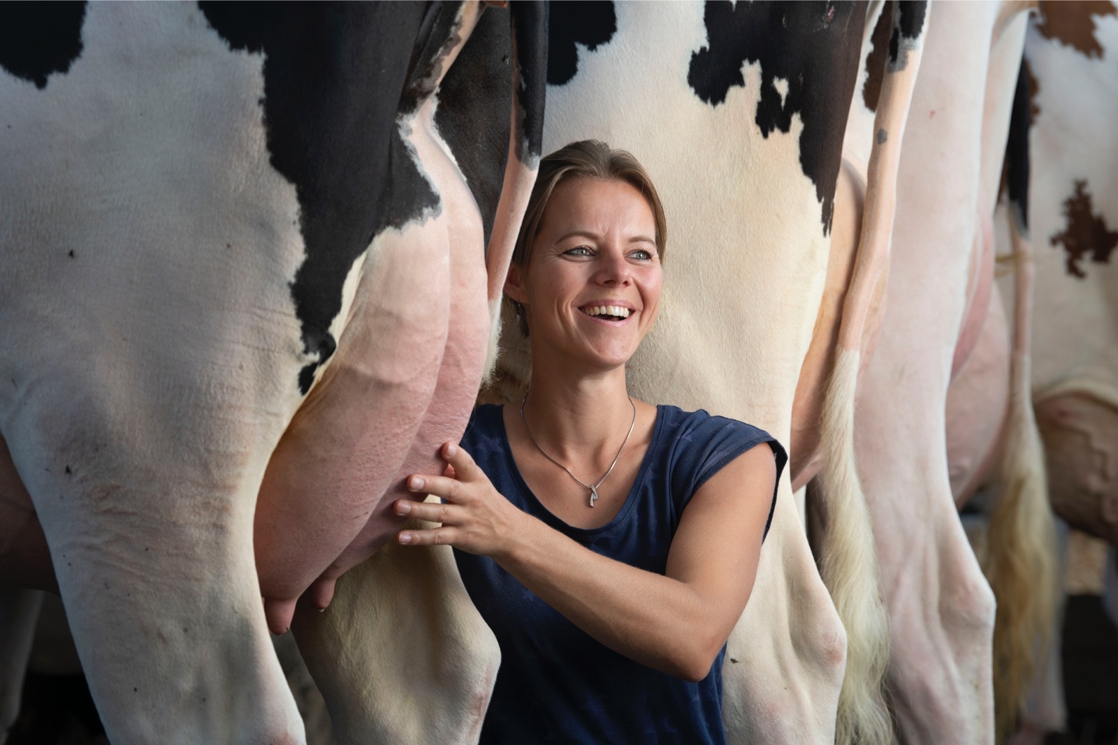 Linda de Jong, Barnkamper Holsteins, Beusichem, Nederland