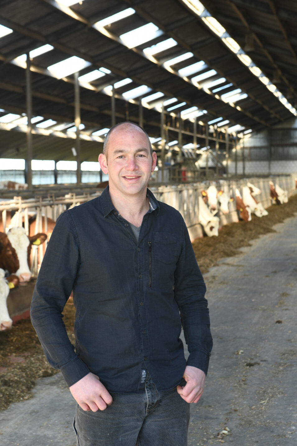 Frank van der Heijden, Milchviehhalter und Mitglied des Beirats für Zweinutzungsrassen, über MRIJ