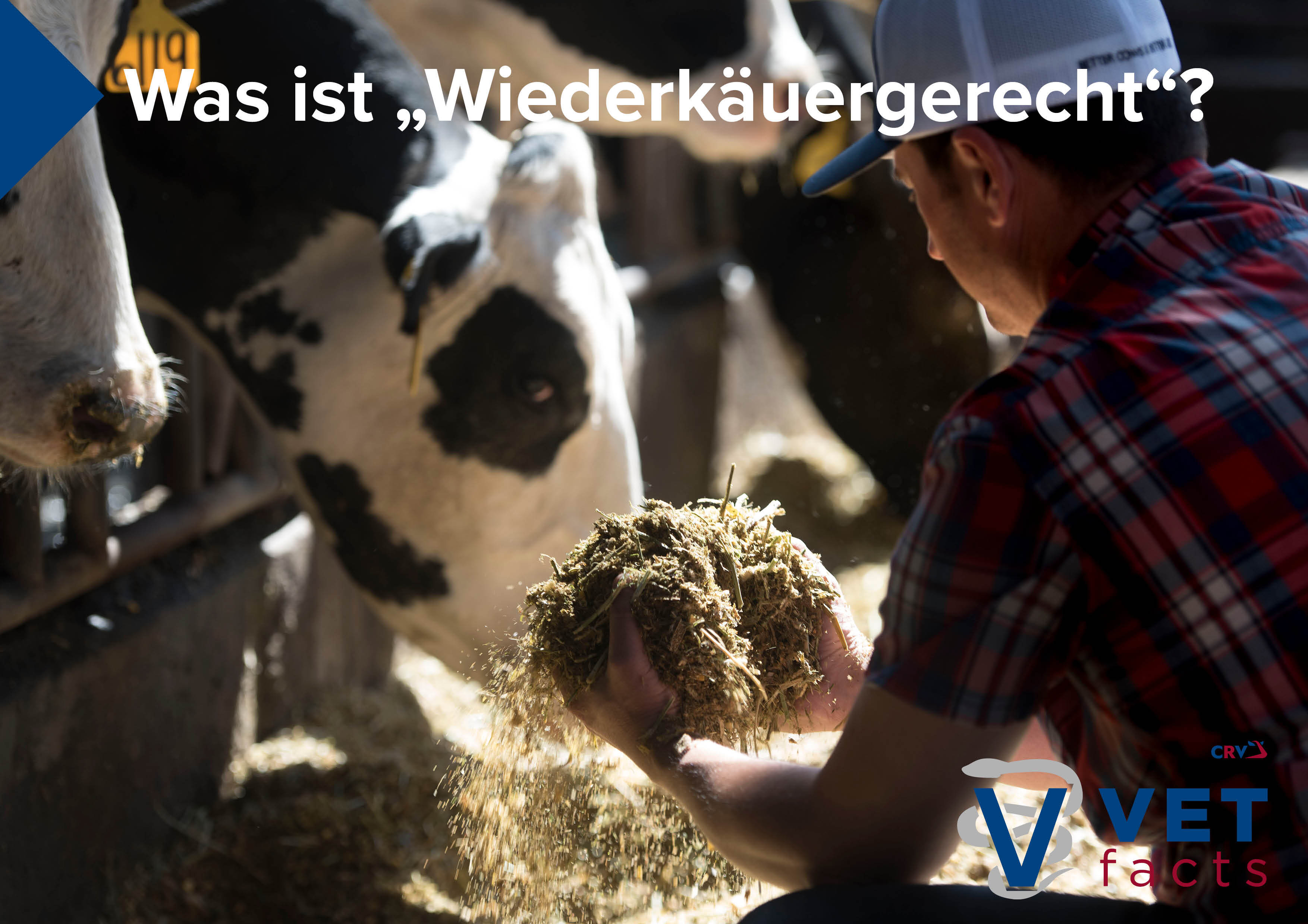 Vet facts - Was ist „Wiederkäuergerecht“?