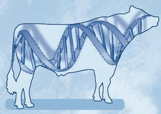 Desať rokov genomickej selekcie