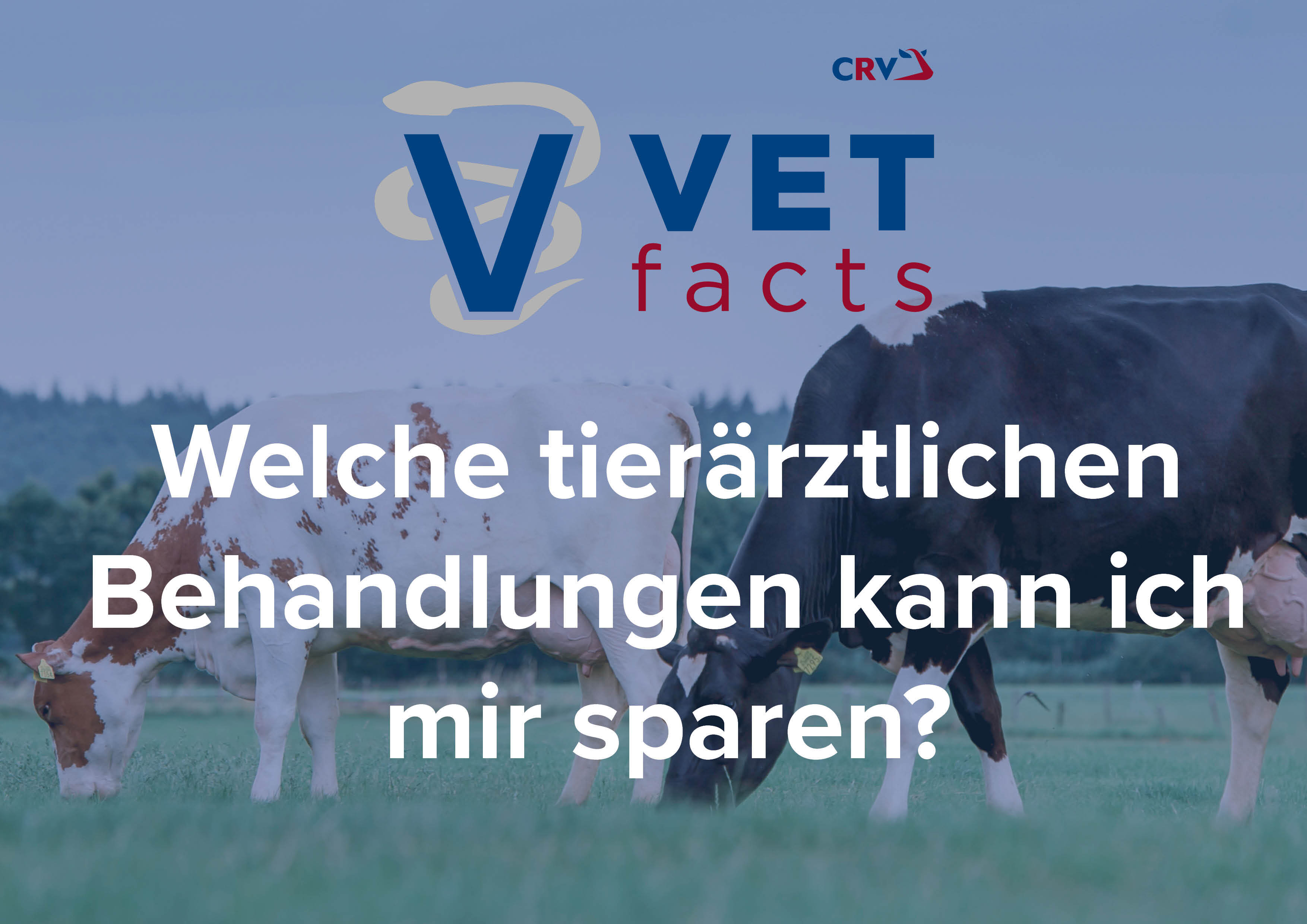 Vet facts - Welche tierärztlichen Behandlungen kann ich mir sparen?