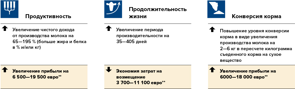 CRv Efficiency