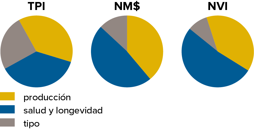 NVI versus TPI