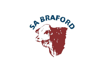 Braford