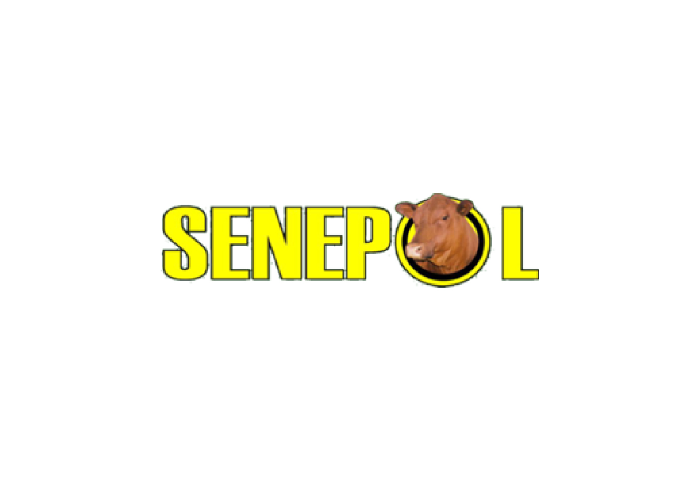 Senepol