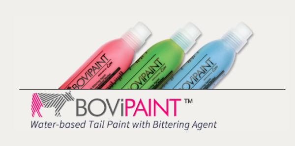 BoviPaint