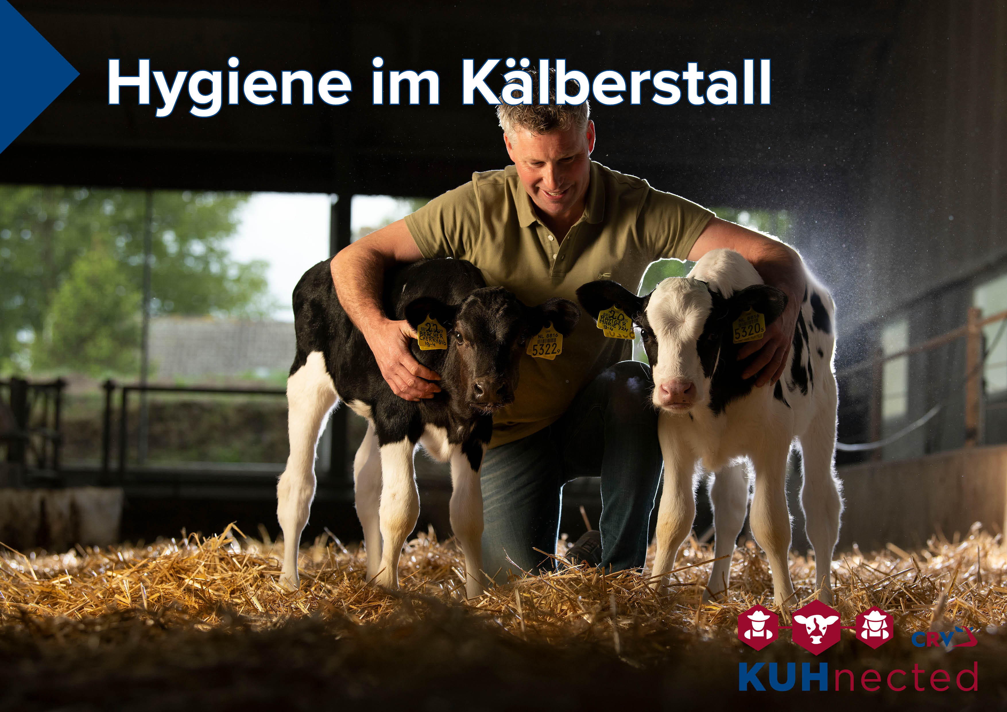 KUHnected - Hygiene im Kälberstall