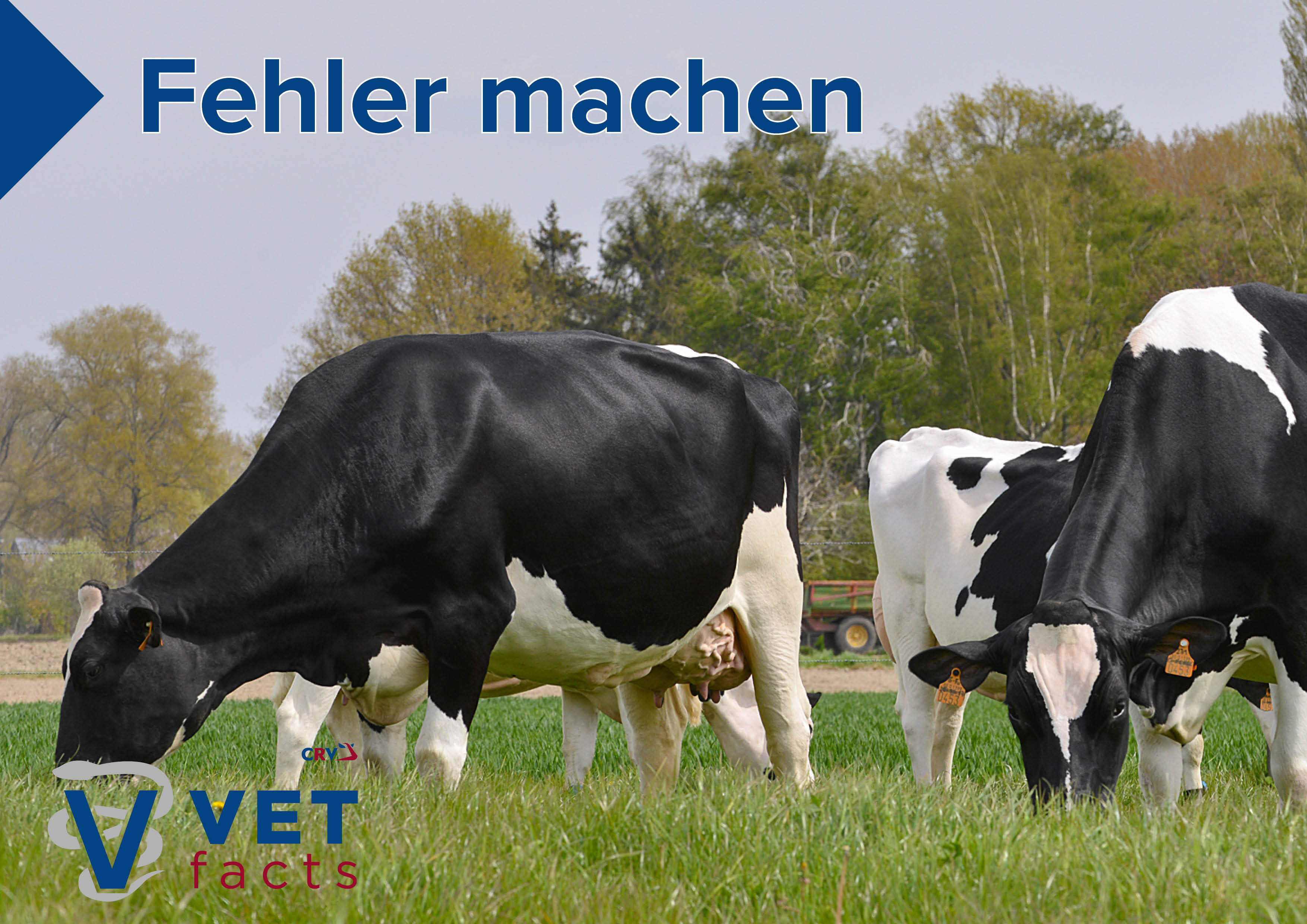 Vet facts - Fehler machen