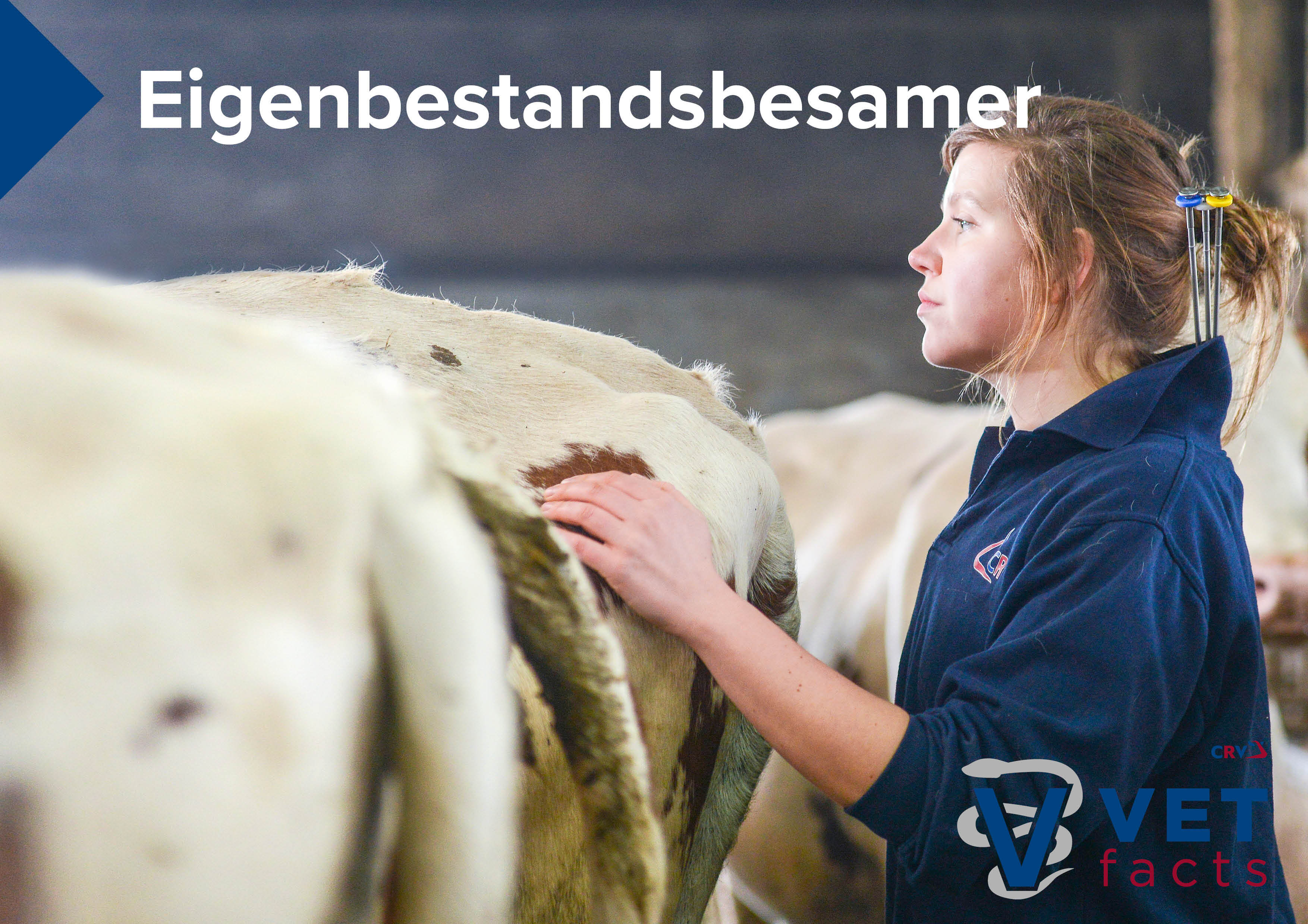 Vet facts - Eigenbestandsbesamung