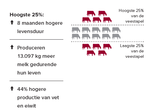 Bewijs van effect van fokken op levensduur, geleverd door MPR