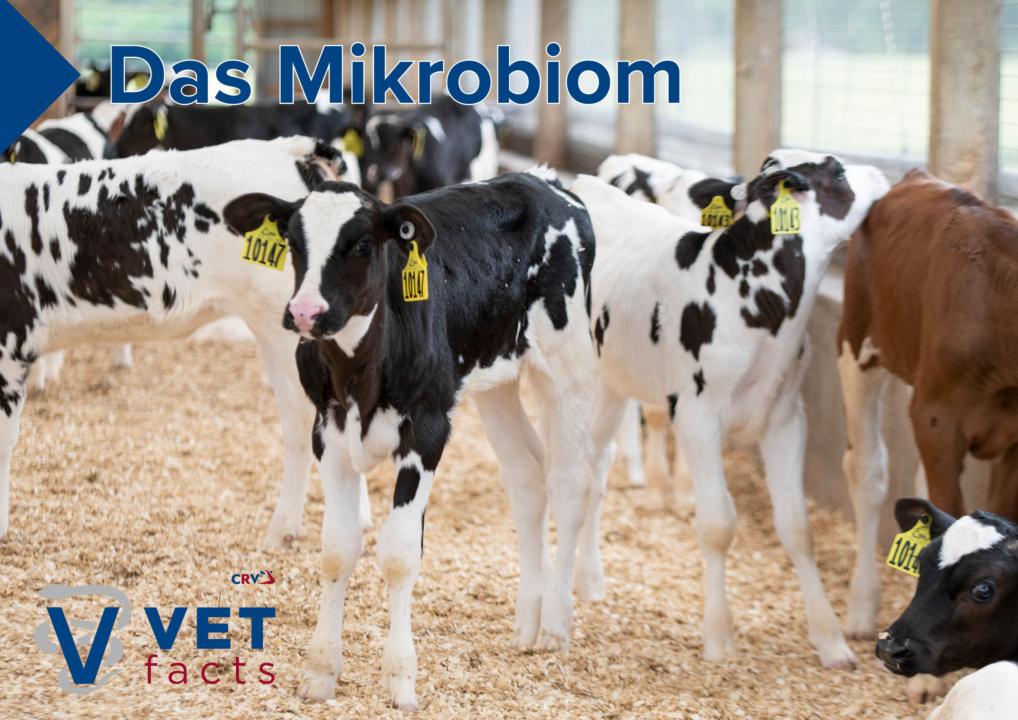 Vet facts - Das Mikrobiom