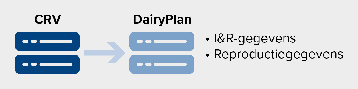 Dairyplan R
