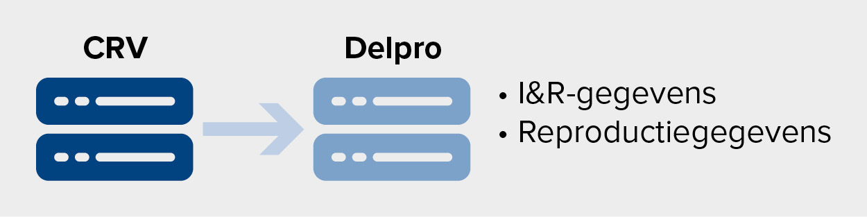 Delpro R