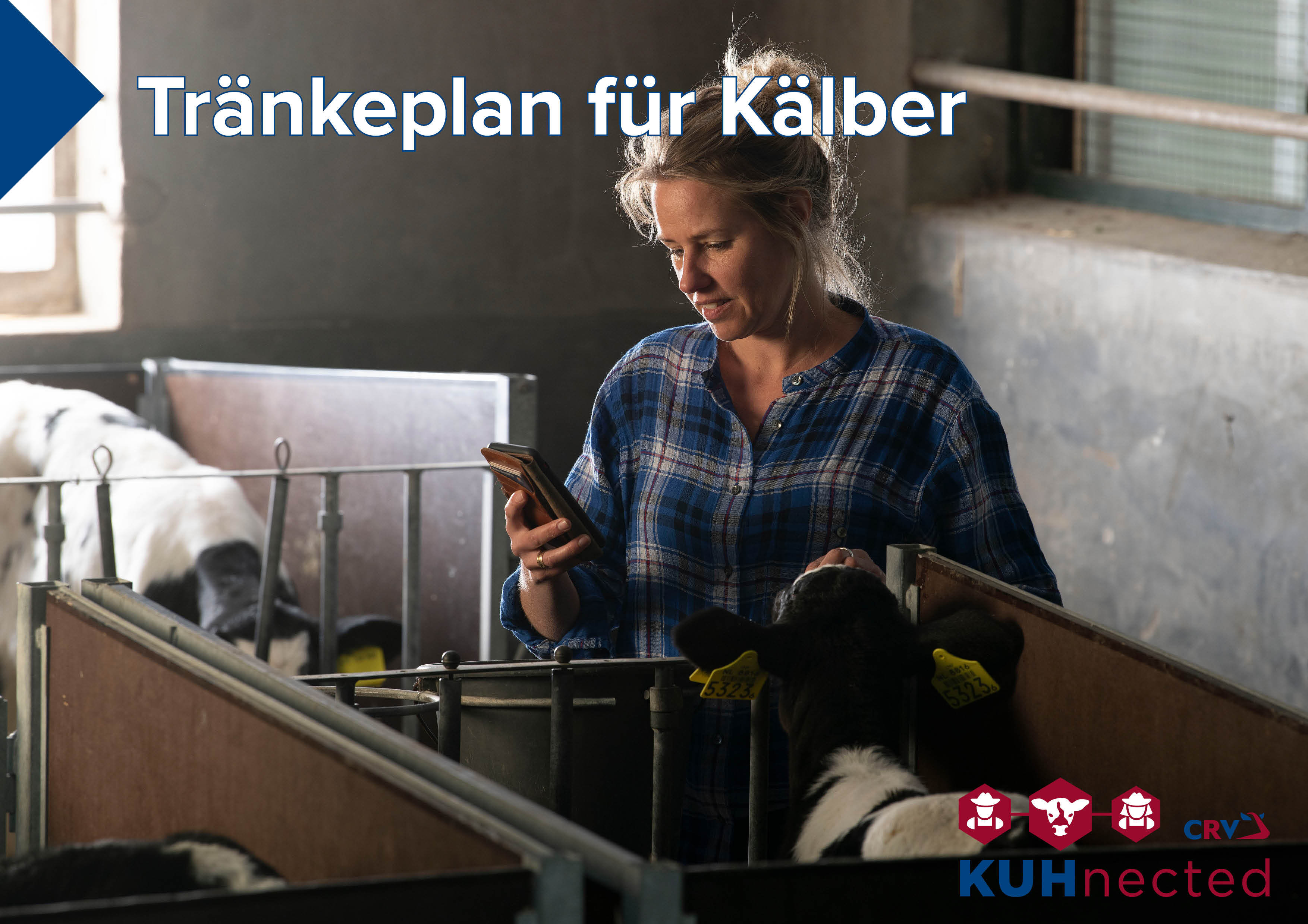 KUHnected - Der Tränkeplan ist entscheidend!