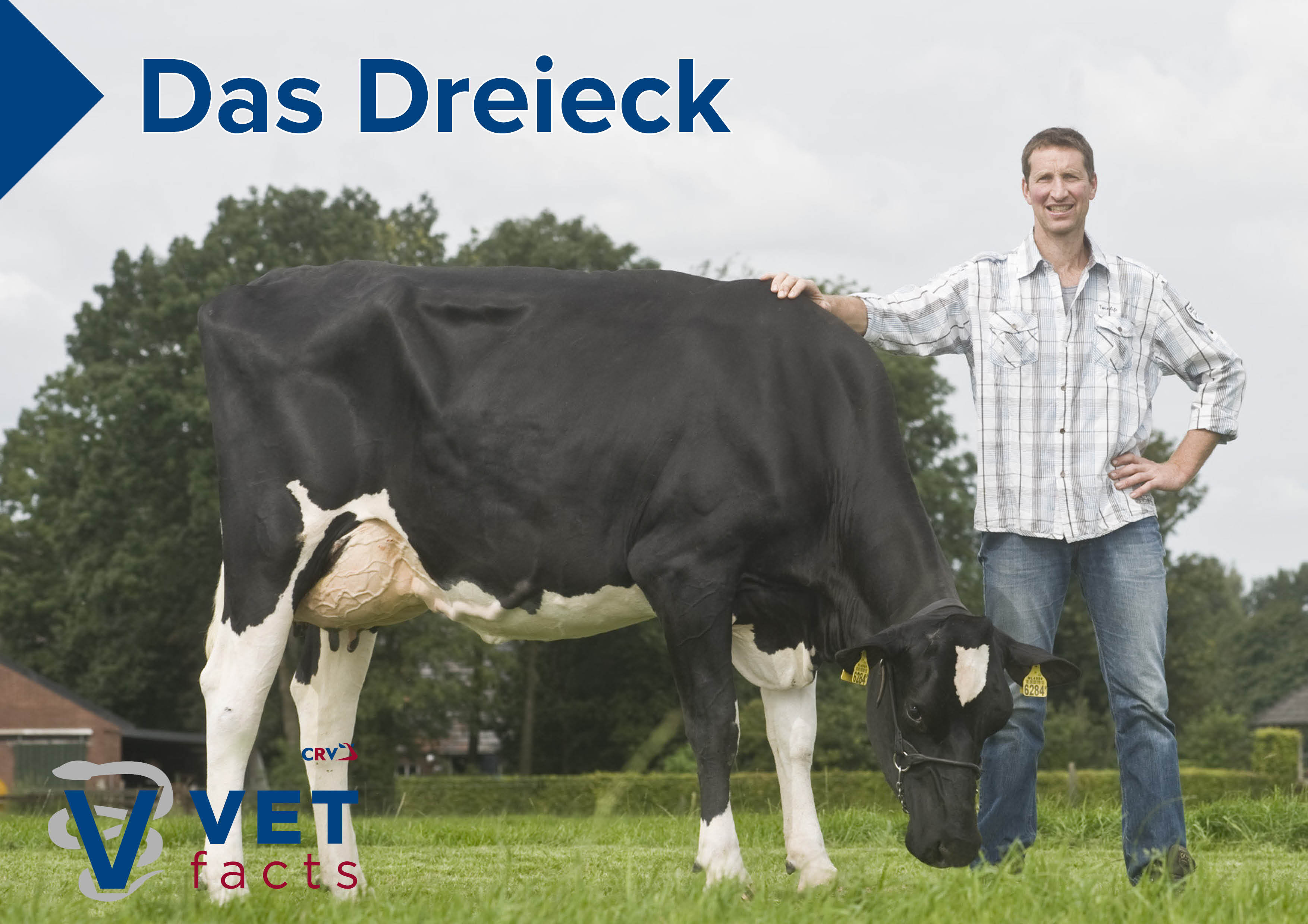 Dreieck