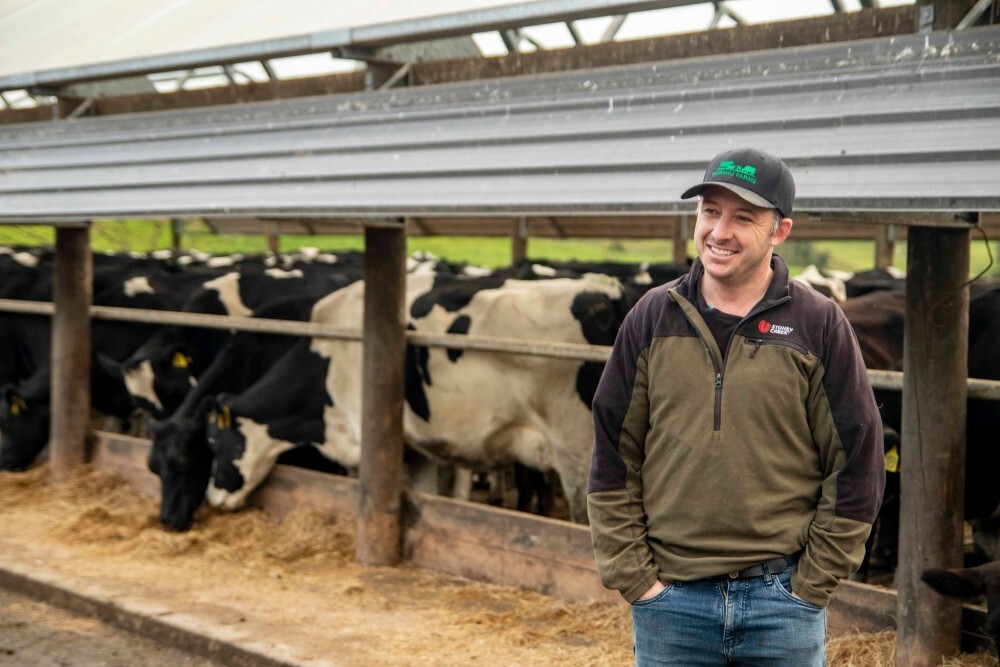 Breeding hassle-free productive cows reduces stress on Waikato farm