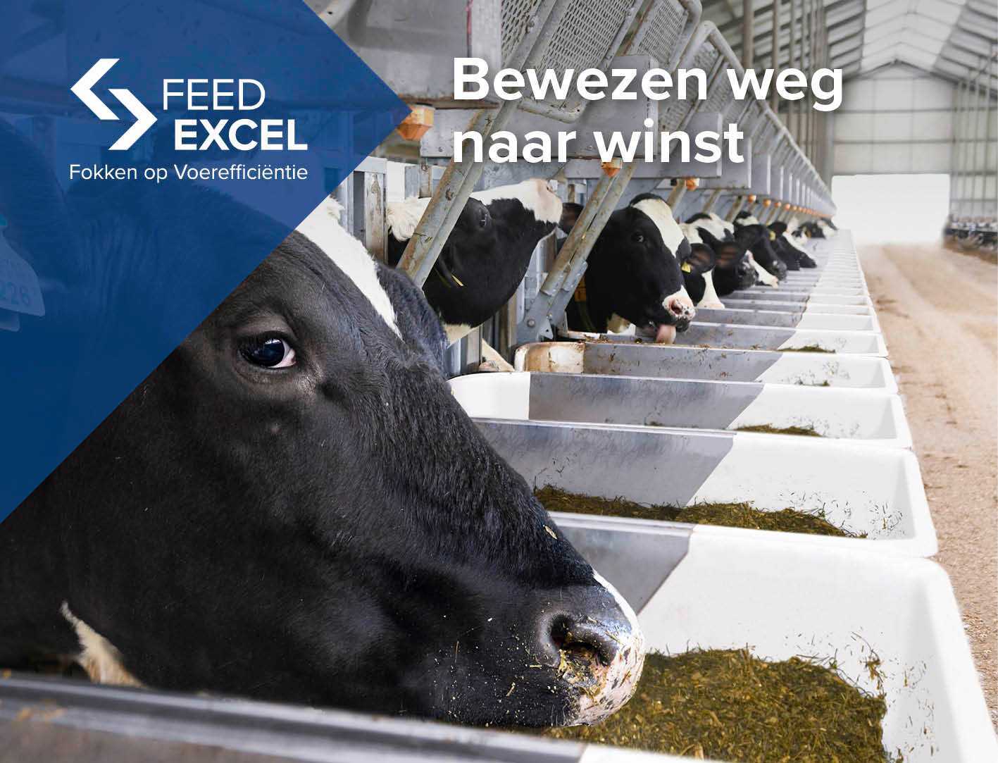 CRV versterkt onderzoeksfase Feed Efficiency: focus op duurzaamheid en genetica