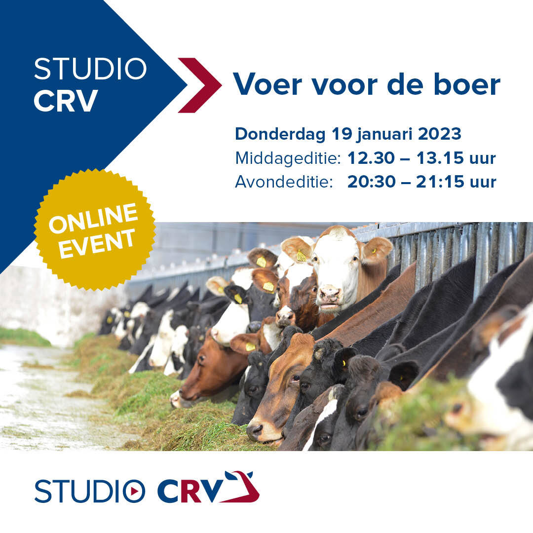 studio crv voer voor de boer