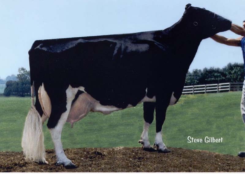 Wesswood HO Rudy Missy (Ex-92), stammoeder van Yamcha