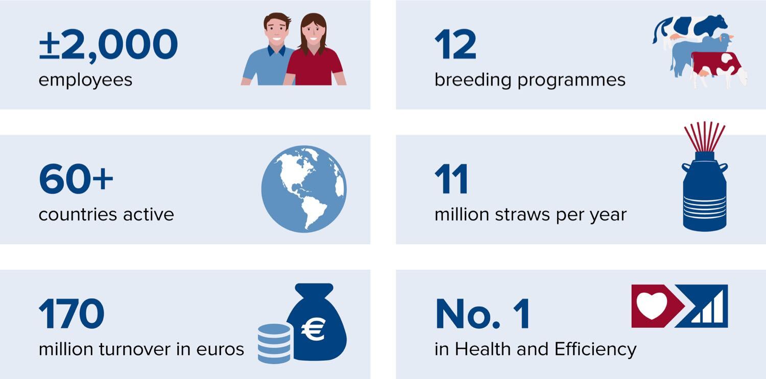 Some facts about CRV