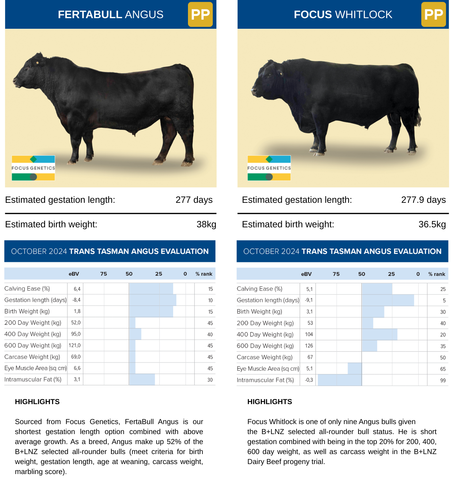 Angus Sires