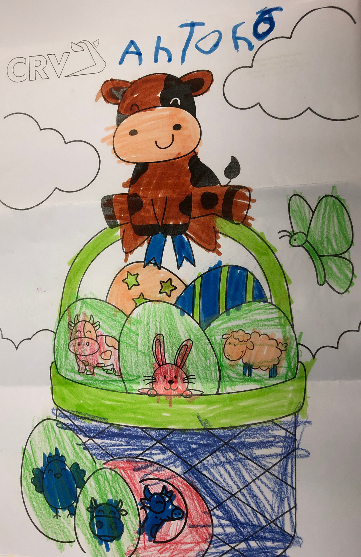 Anton Zierzower, 6 Jahre