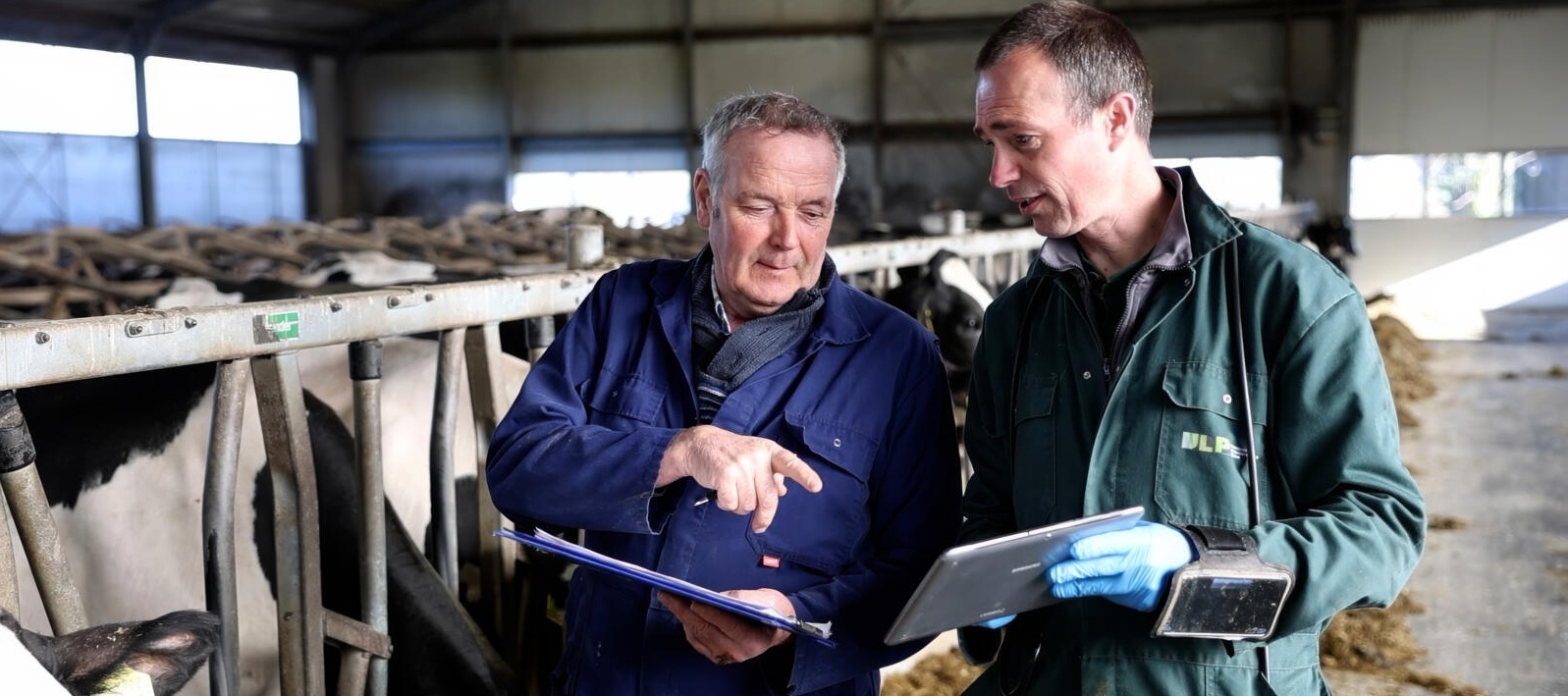 <p><strong>pirDAP</strong><br />powered by CRV Adviseur</p>