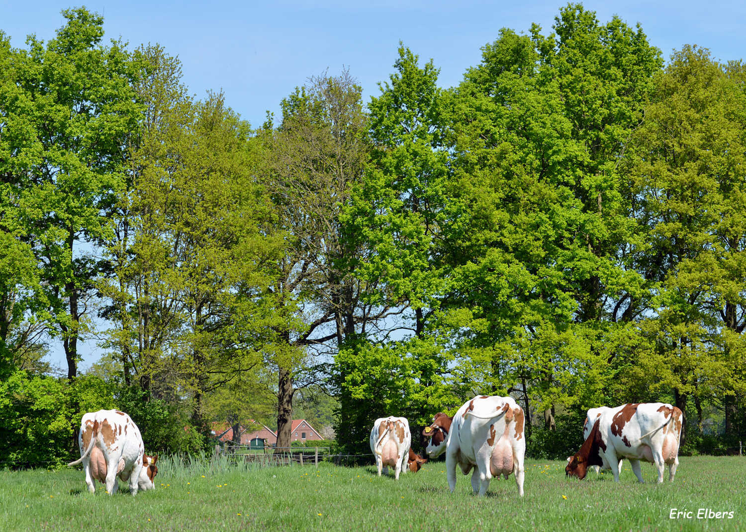 Uitnodiging Mrij-dag
