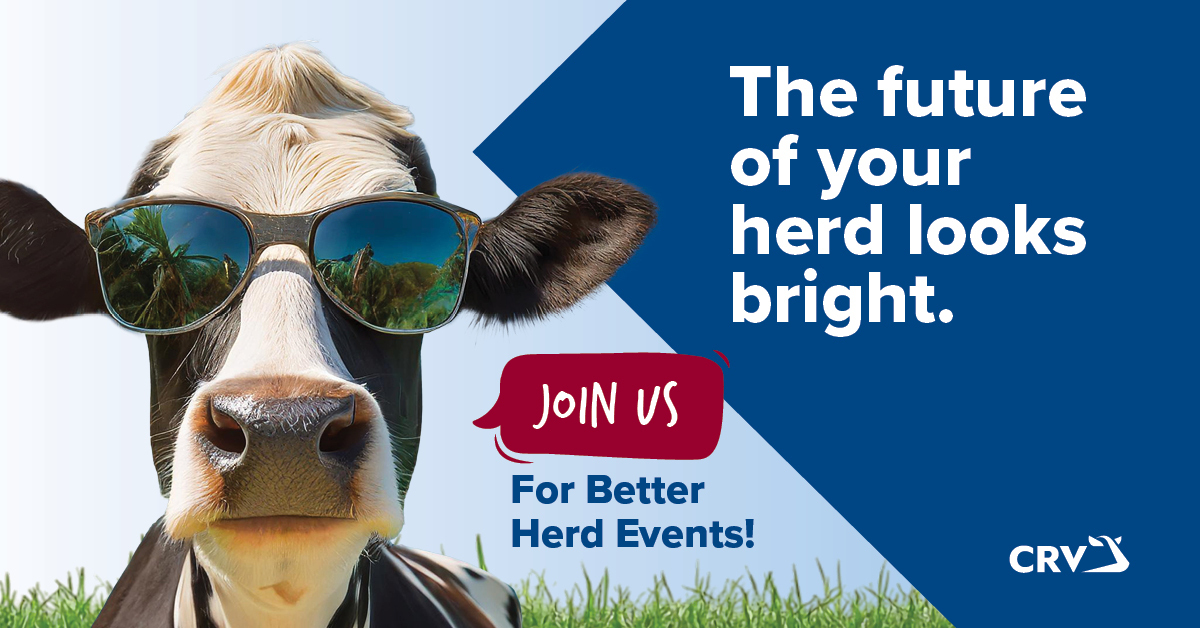 Better Herd Event 25