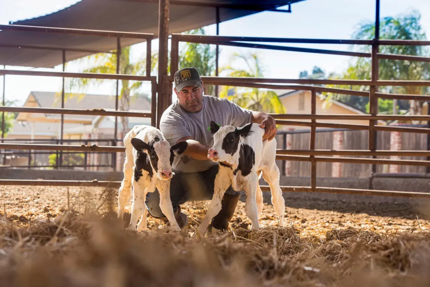 Smart breeding doubles the benefits of genomic testing
