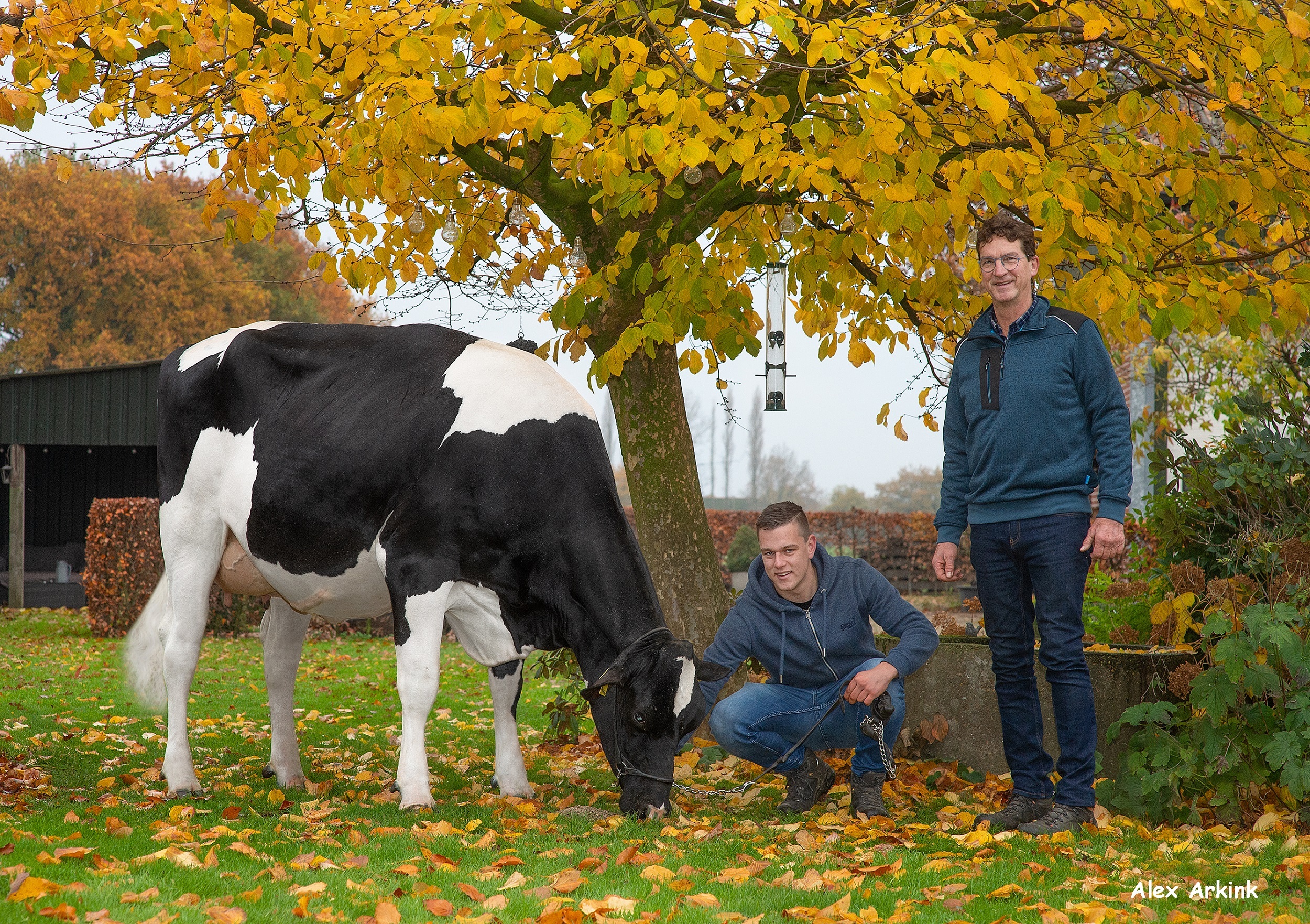 Abundant P past precies in het plaatje van de familie Antonissen