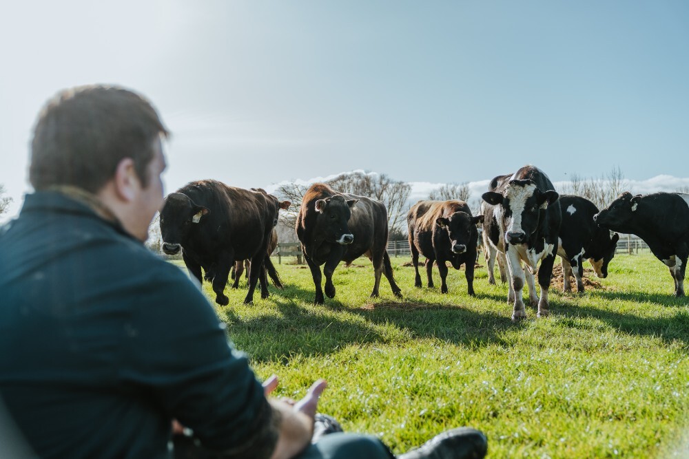 <p>CRV's Breeding Programme</p>