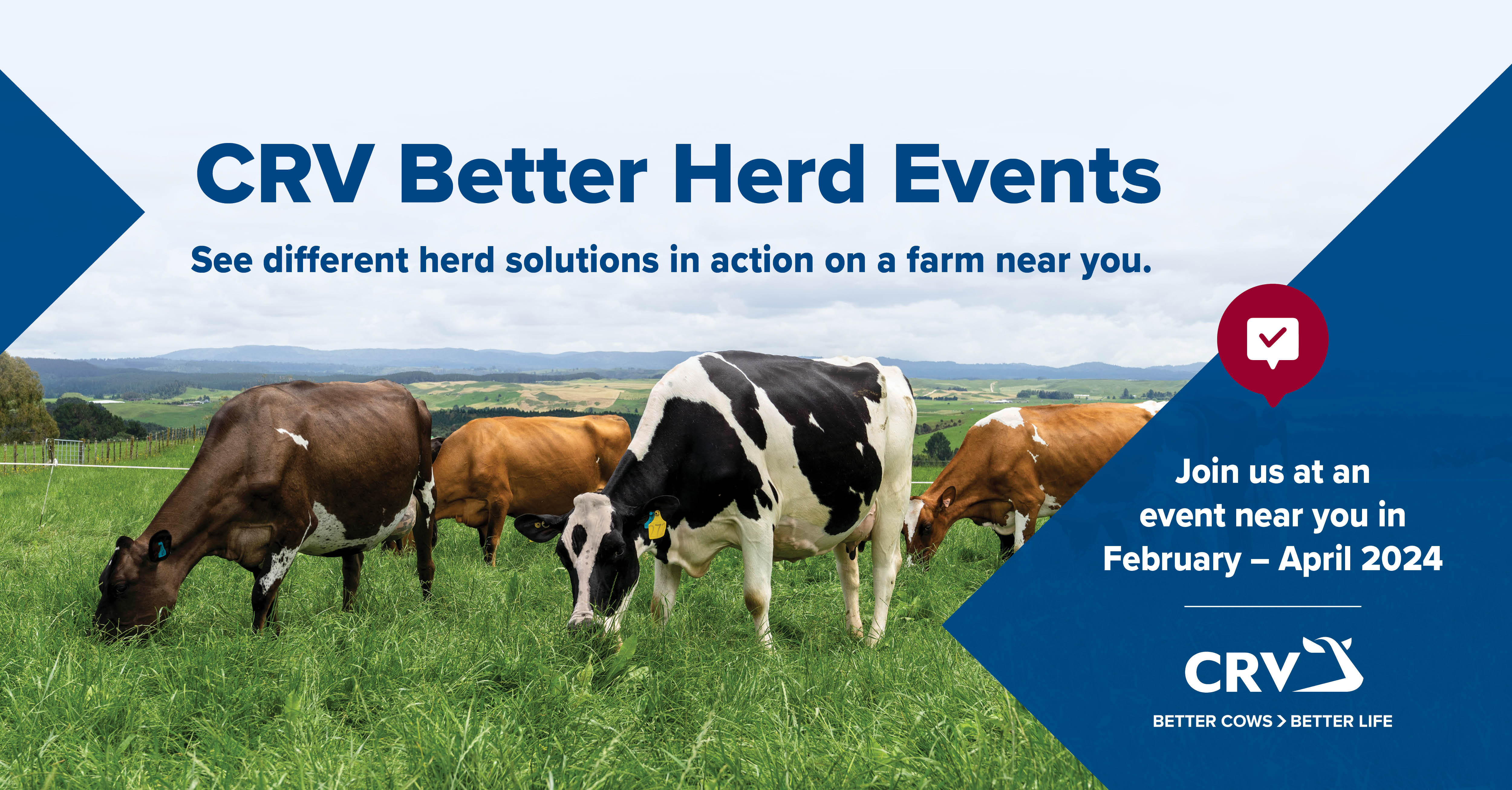 Better Herd Event 24