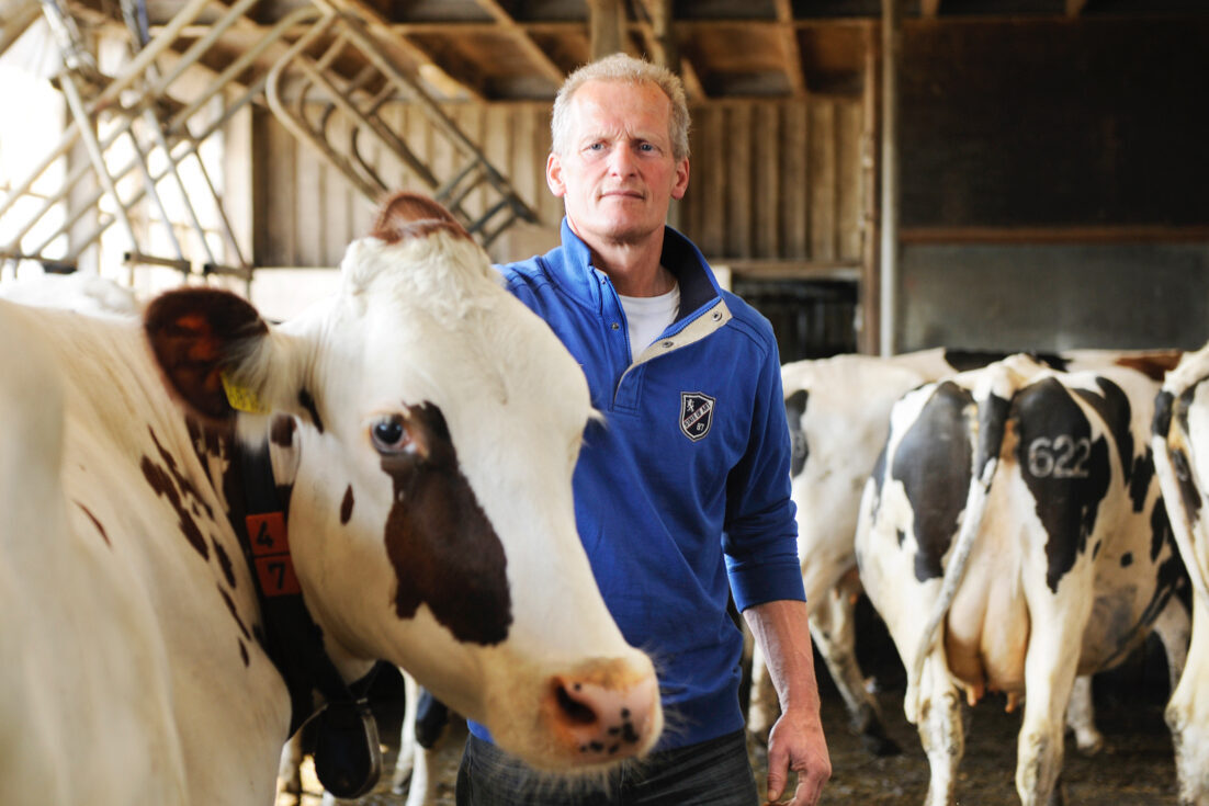 Veehouder Jan Henk Verburg, Zwammerdam