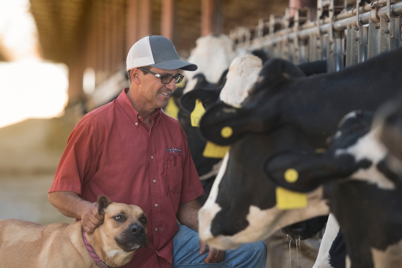 Louie Tristao, Tri Star Dairy Farm, Porterville