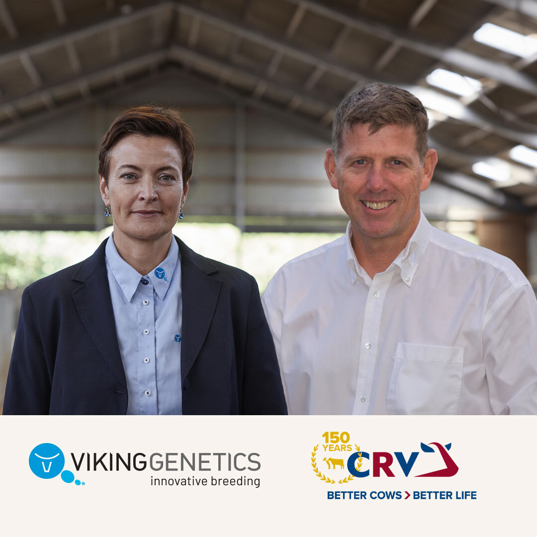 Louise Helmer, CEO van VikingGenetics (links) en Angus Haslett, CEO van CRV (rechts)