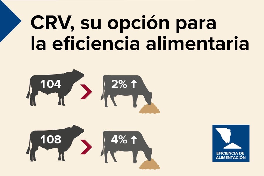 CRV, su opción para la eficiencia alimentaria