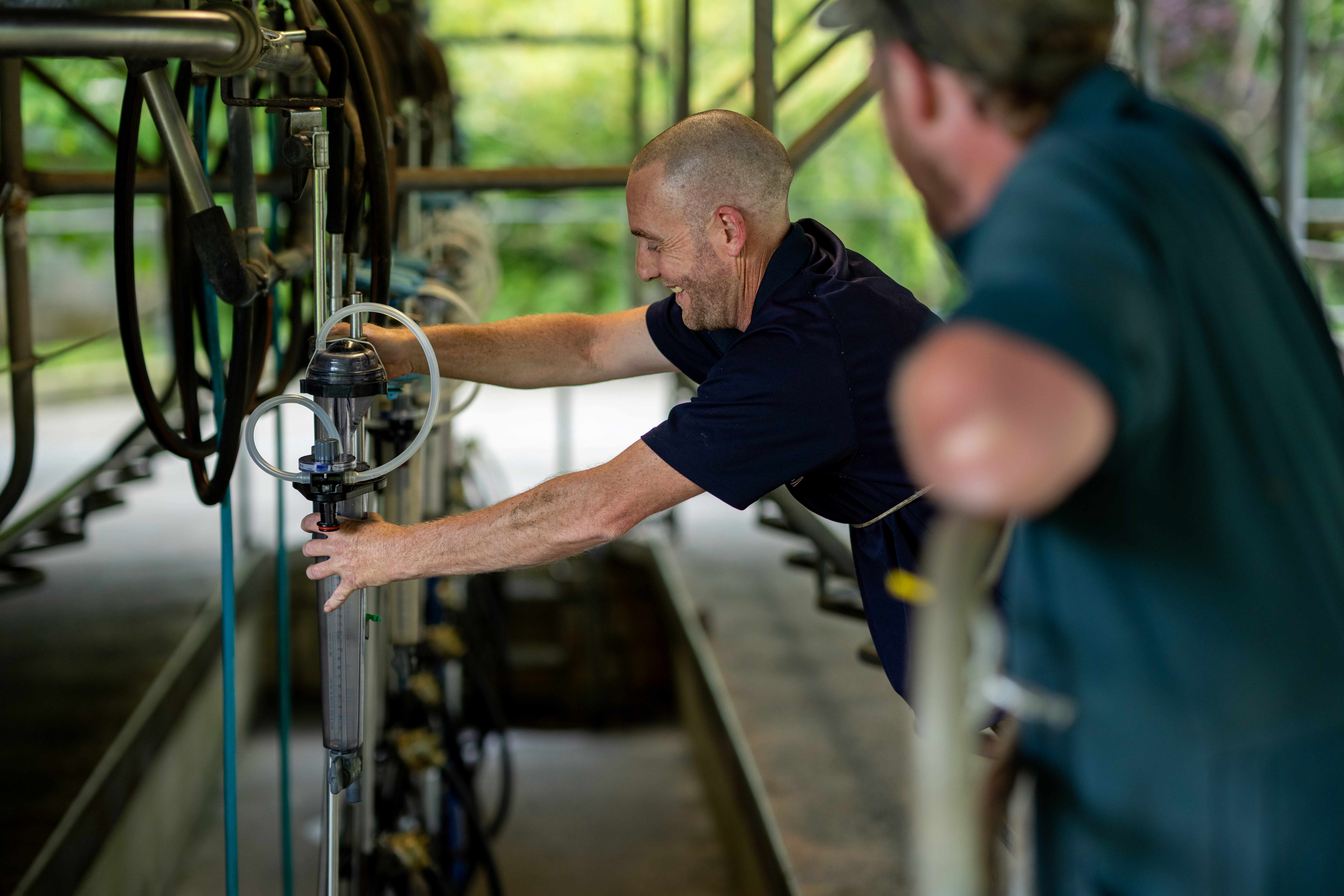 CRV’s Herd Testing Service offers reliable, on-farm milk recording carried out by trained CRV technicians