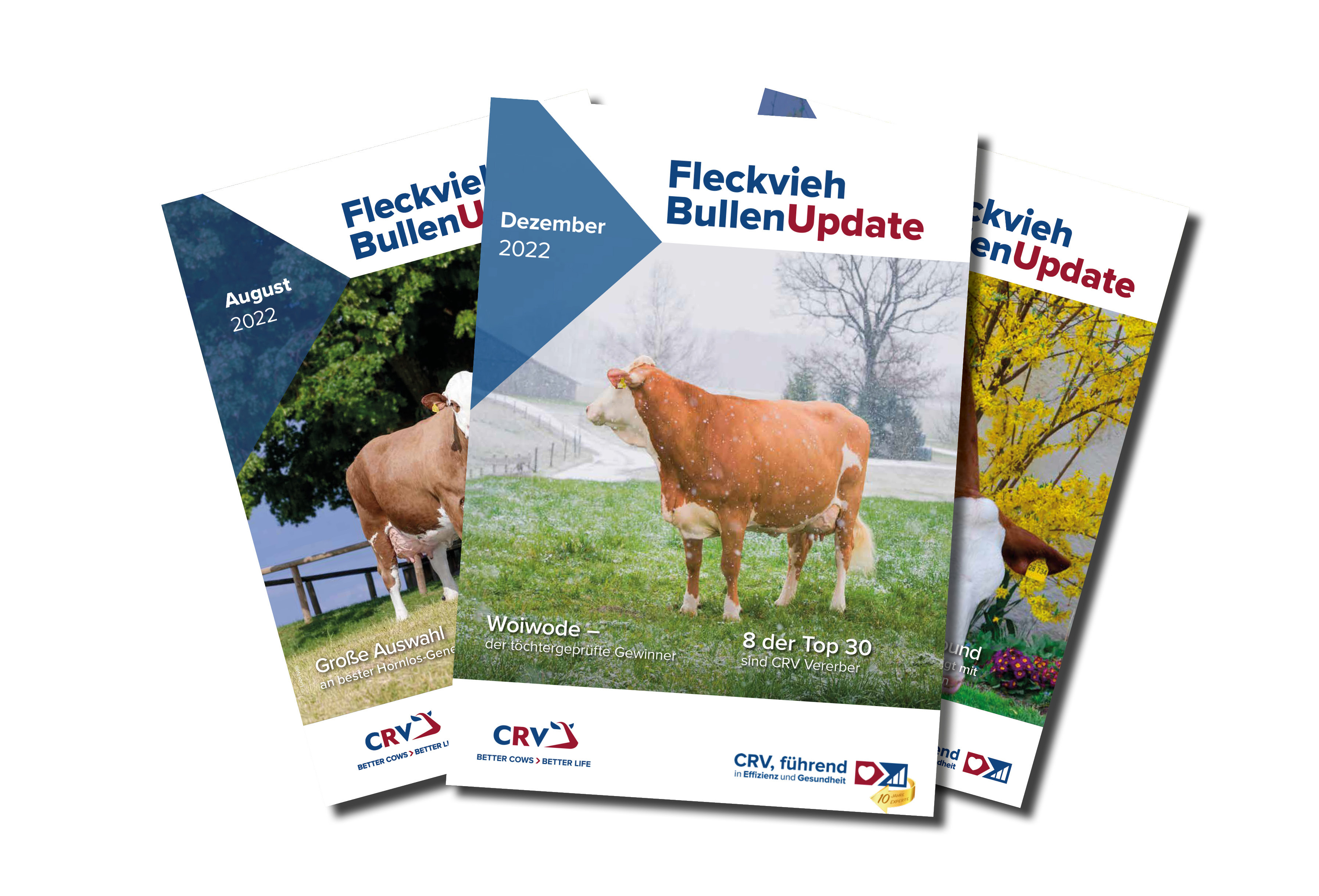 Fleckvieh Update April 2024