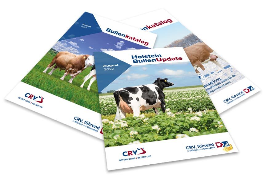 <p>Hauptportfolio Holstein August 2022</p>