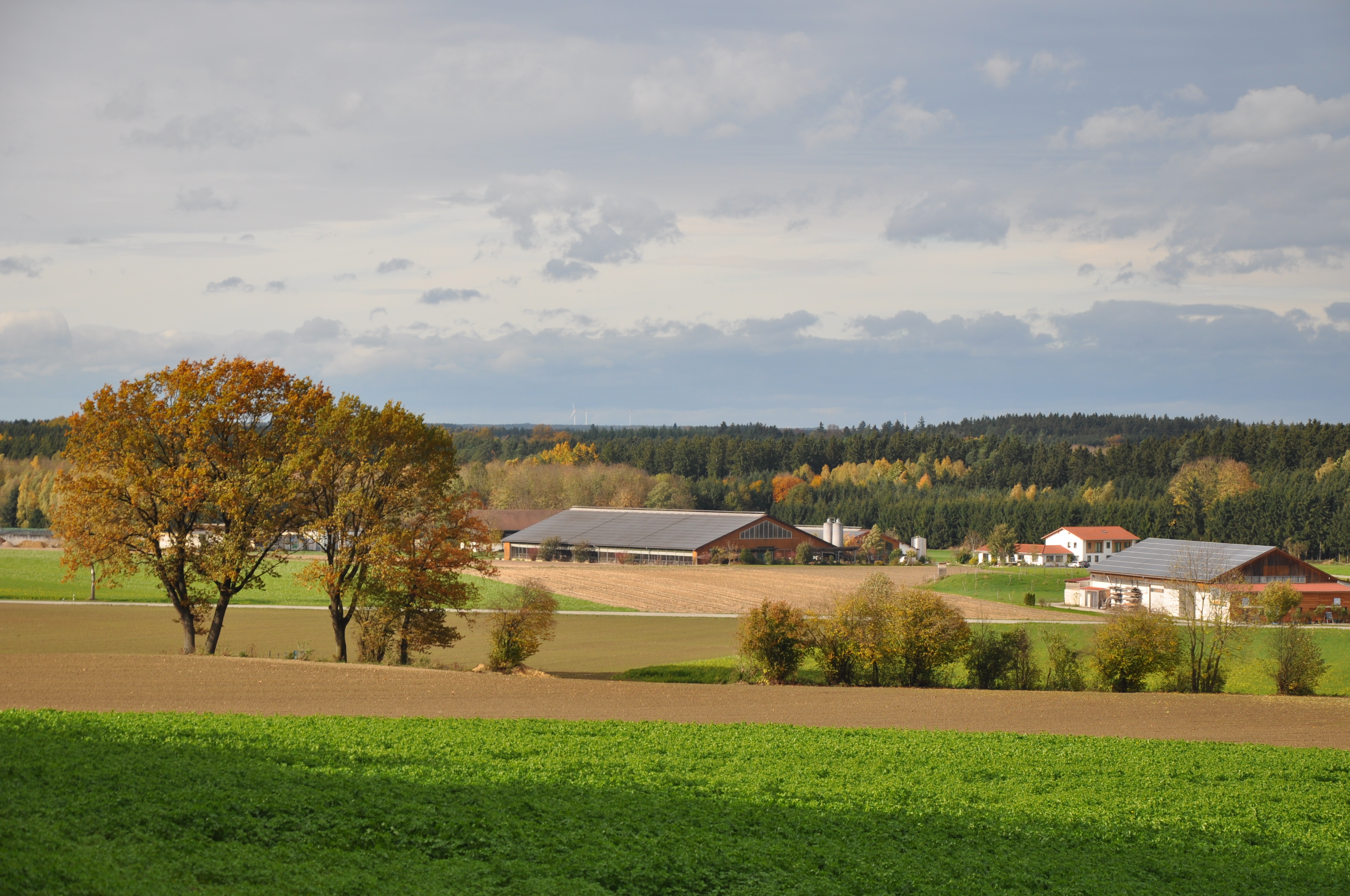 Wirtschaftlichkeit, Öffentlichkeitsarbeit, Tierwohl und strukturierte Arbeitsabläufe -  vereint im Betrieb Sedlmair