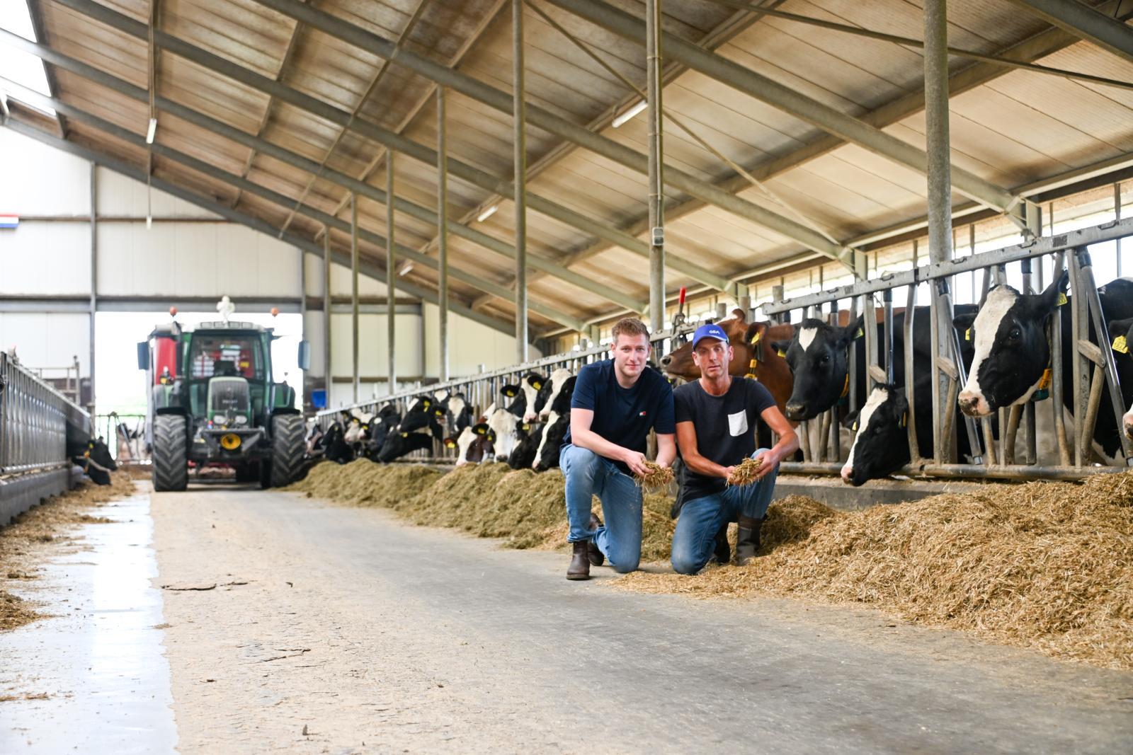 Inseminatiegetal gehalveerd na vruchtbaarheidsadvies van CRV
