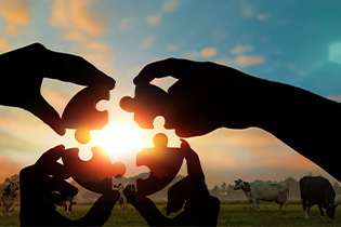 Bernhard Heitzer, Produktmanager von CRV