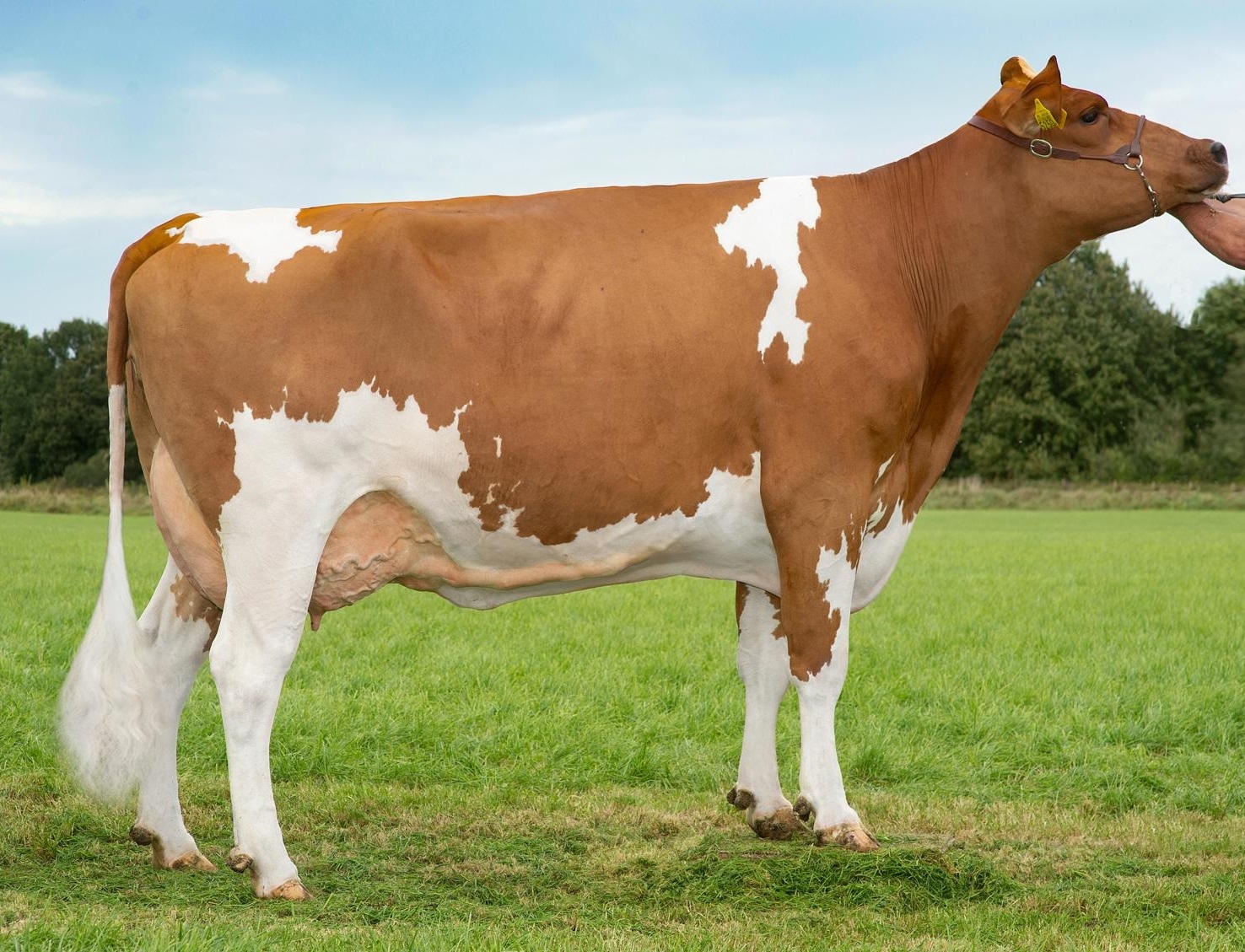 Glenn geeft 80.000 kg ‘op z’n janboerenfluitjes’